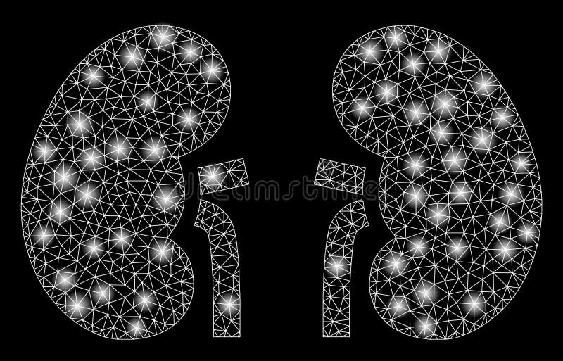 Glowing Mesh Wire Frame Kidneys with Light Spots royalty free illustration