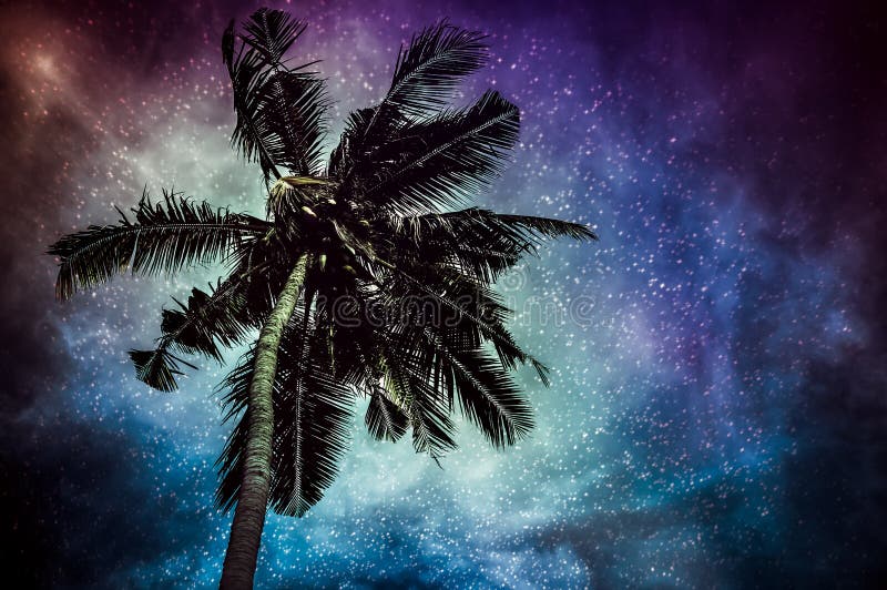 Natural glowing of the milky way and the starry with coconut plam. royalty free stock image Natural glowing of the milky way and the starry with coconut plam. royalty free stock image