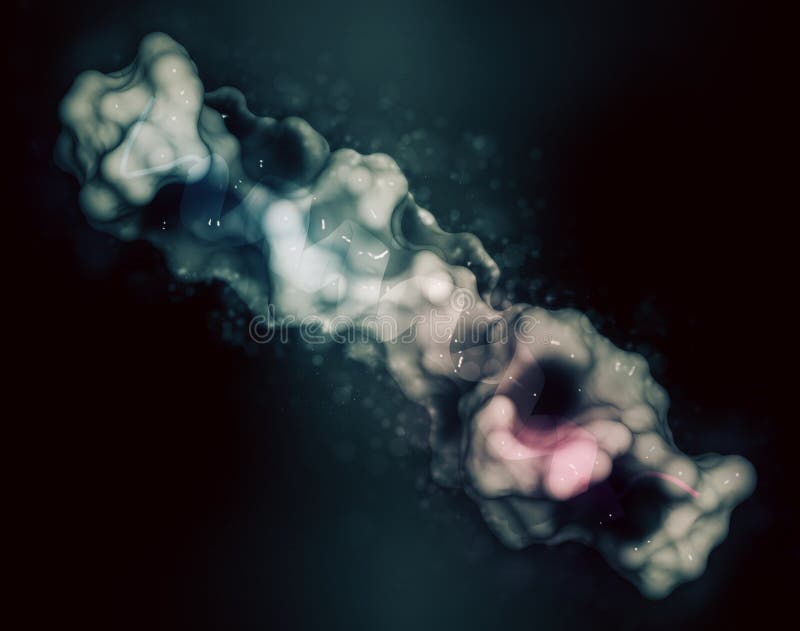 Glucagon-like peptide 1 GLP1, 7-36 molecule, 3D rendering. Cartoon representation combined with semi-transparent surfaces. vector illustration