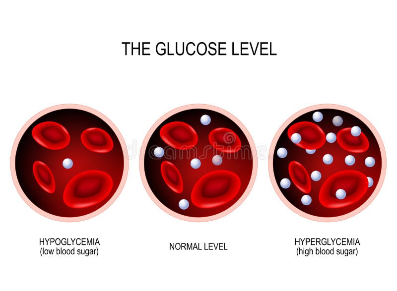 Glucose dans le vaisseau sanguin illustration de vecteur Glucose dans le vaisseau sanguin illustration de vecteur