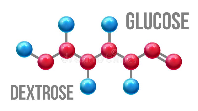 Glucose Dextrose Structure Molecular Model Vector