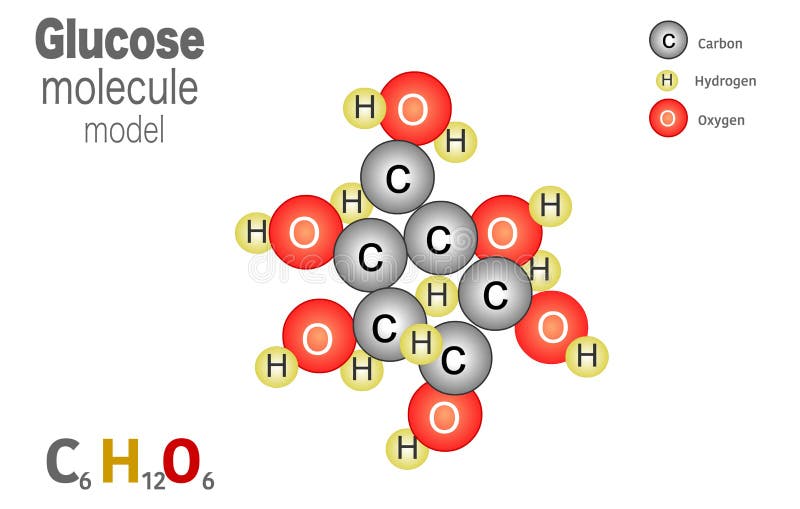 glucose molecule atoms oxygen atomi linked atom molecola molekyl illustrazione miteinander molekl elkaar molecuul gevormd verbonden nitrogen ossigeno ottenuta carbonio