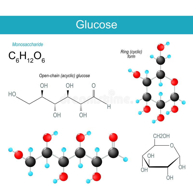 Glucose Molecule Photograph by Molekuul/science Photo Library - Fine Art  America