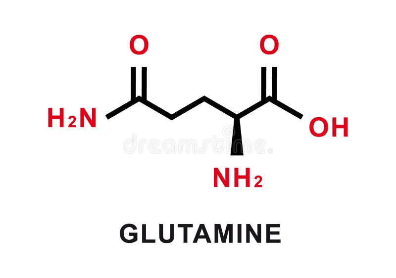 Glutamine Chemical Formula. Glutamine Chemical Molecular Structure