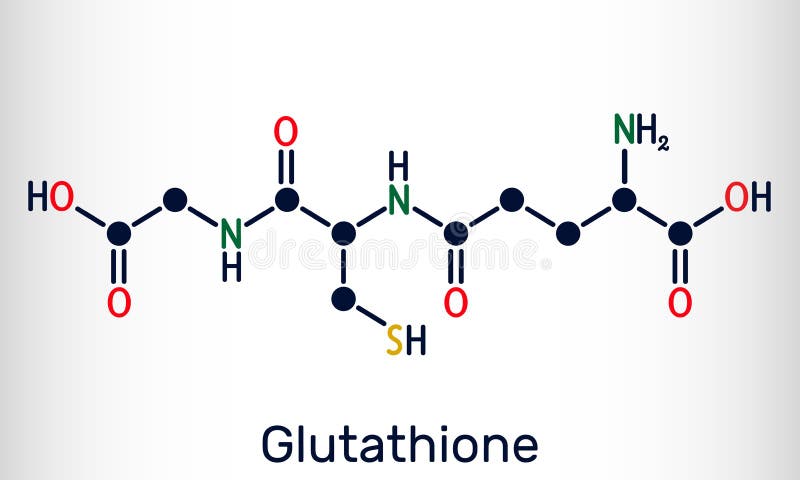Glutathione, GSH, C10H17N3O6S Molecule. it is an Important Antioxidant in Plants, Animals and Some Bacteria Stock Vector - Illustration of health, nitrogen: 177249473 Glutathione, GSH, C10H17N3O6S Molecule. it is an Important Antioxidant in Plants, Animals and Some Bacteria Stock Vector - Illustration of health, nitrogen: 177249473