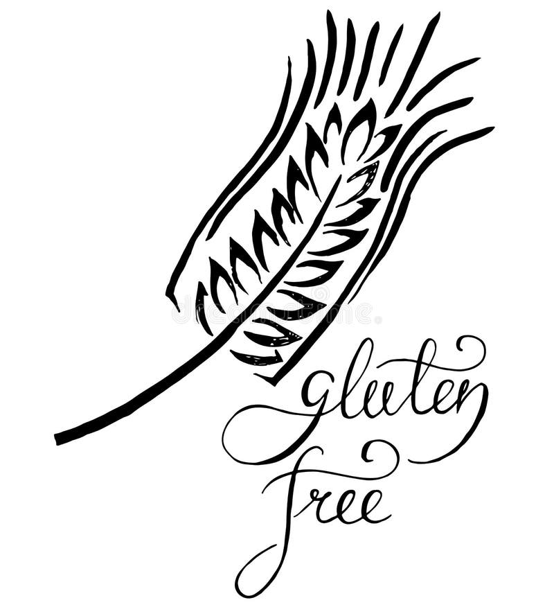 Gluten Free. Modern Brush Lettering. Vector Illustration. Stock Vector