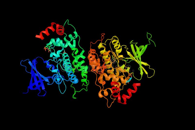 Glycogen SynthaseKinase 3 Betam, Ein Enzym Schloss an Bipol an Stock