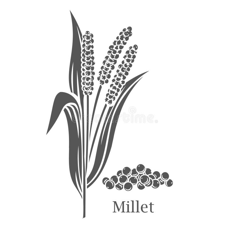 Glyphen-Symbol für eine Millet-Getreidekultur lizenzfreie abbildung