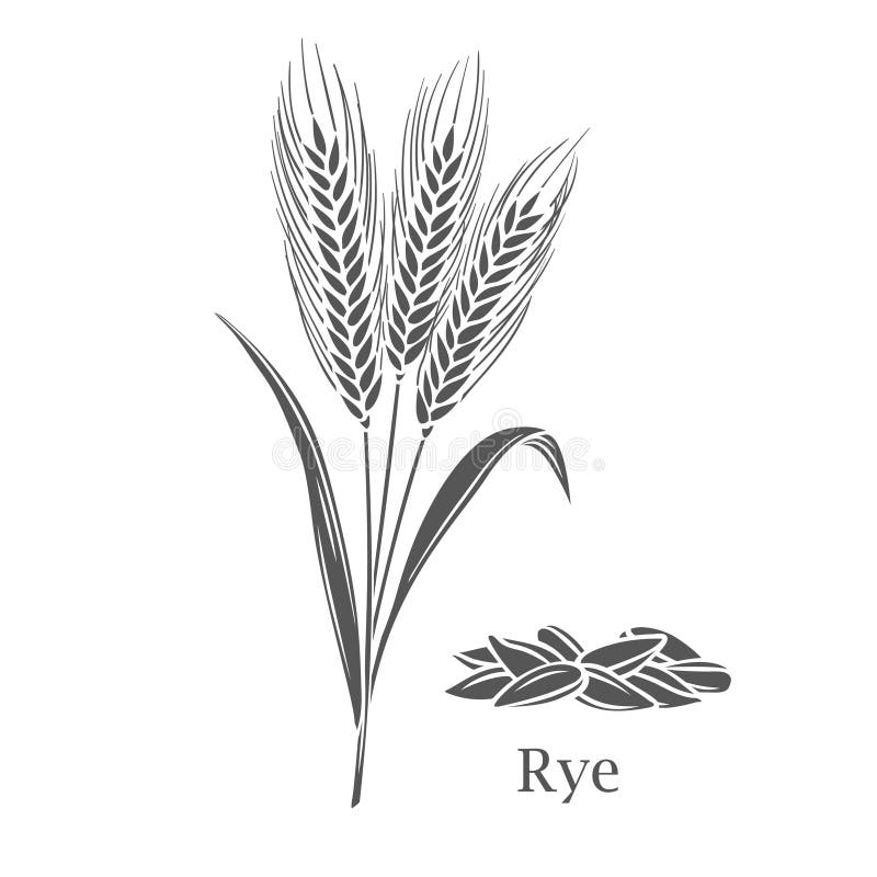 Glyphen-Symbol für Roggengetreide vektor abbildung