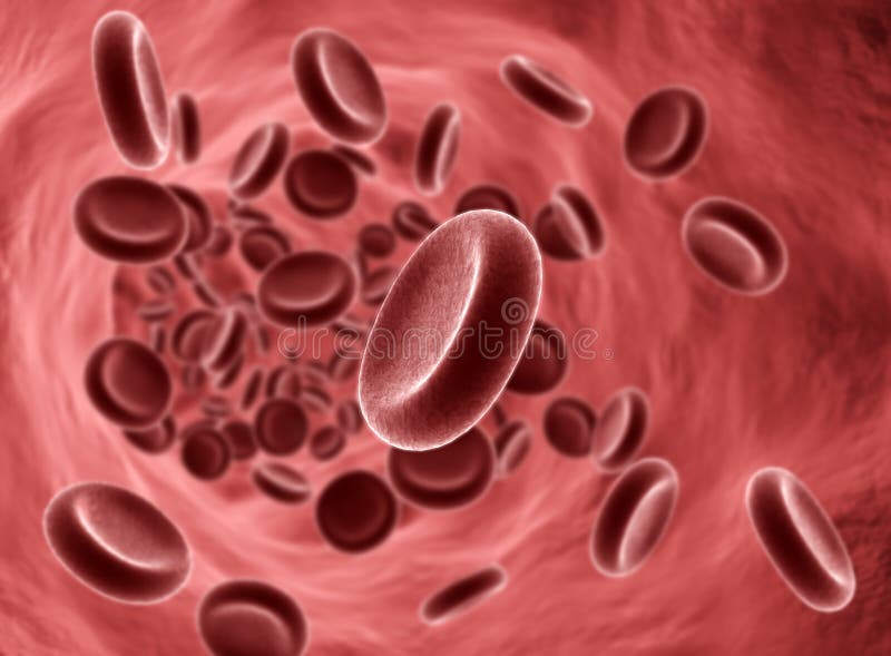 Células sanguíneas ilustração royalty free