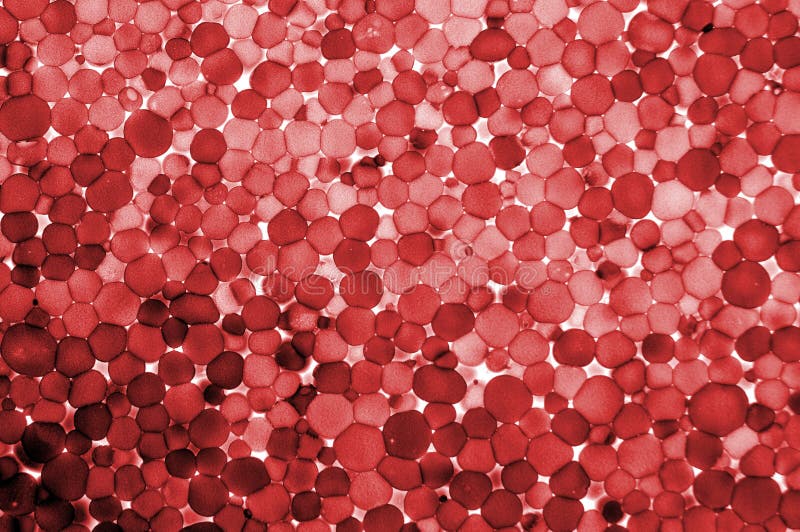 A super scientifiv macro closeup of red cells. A super scientifiv macro closeup of red cells