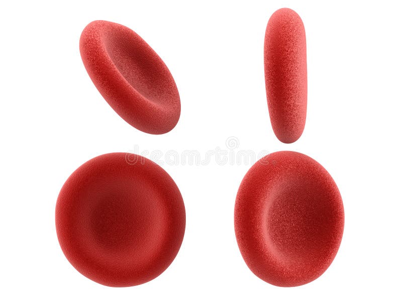 Glóbulos rojos aislados en blanco