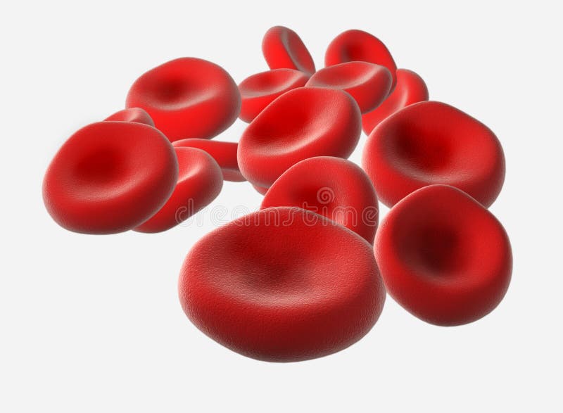 Download Glóbulos vermelhos ilustração stock. Ilustração de micrograph - 61290
