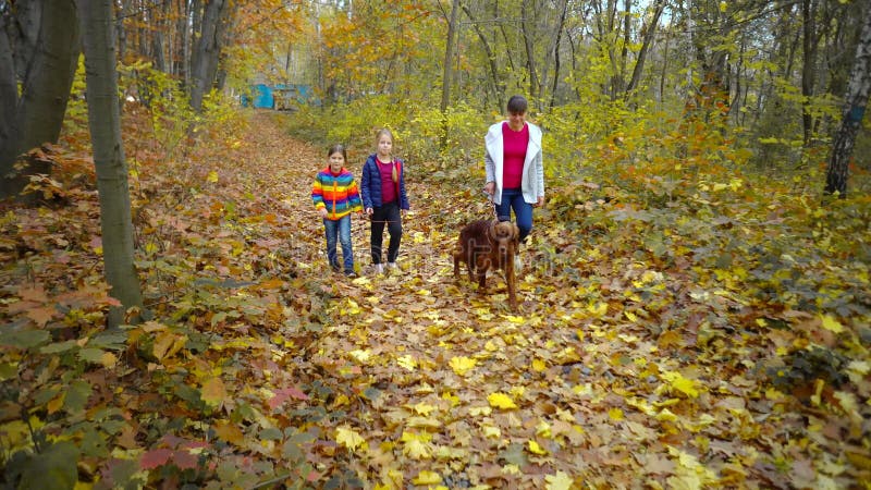 Glückliche eng verbundene Familie geht durch den Herbst Park mit dem Hundeirischen Setter Das Konzept einer engverbundenen Famili