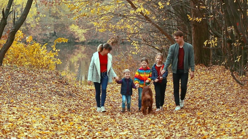 Glückliche eng verbundene Familie geht durch den Herbst Park mit dem Hundeirischen Setter Das Konzept einer engverbundenen Famili