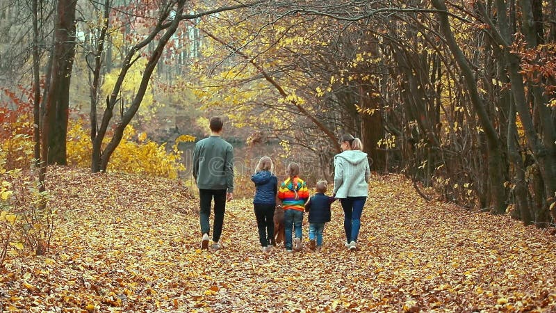 Glückliche eng verbundene Familie geht durch den Herbst Park mit dem Hundeirischen Setter Das Konzept einer engverbundenen Famili