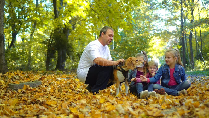 Glückliche Familie geht in den Herbst Park mit einem Spürhundhund Kinderschoßhund