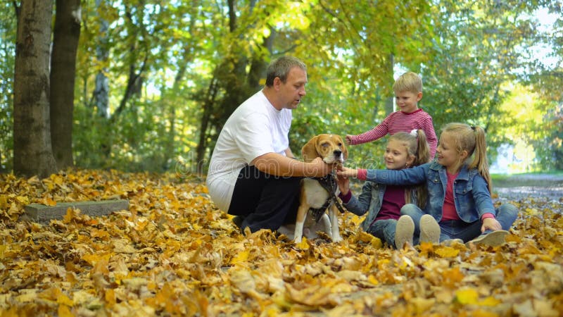 Glückliche Familie geht in den Herbst Park mit einem Spürhundhund Kinderschoßhund