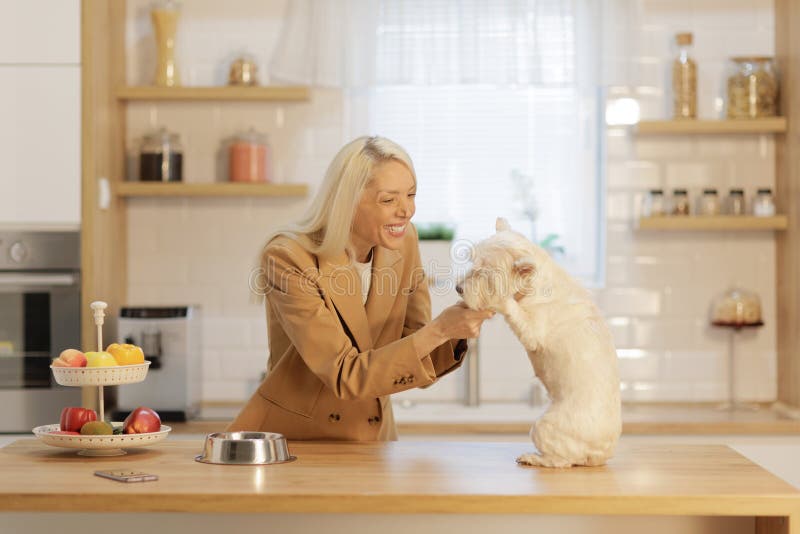 Glückliche Frau spielt mit Hund lizenzfreies stockfoto