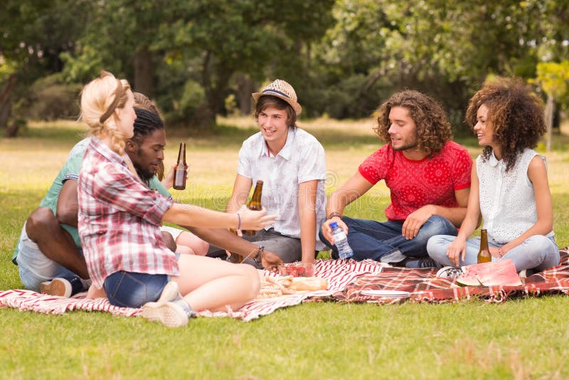 Glückliche Freunde Im Park, Der Picknick Hat Stockbild Bild von