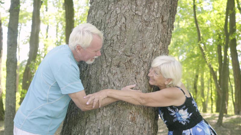 Glückliche reife Paare, die den starken Baum berührt jeder des anderen Hände umarmen Älterer Mann und Frau, die sich zusammen ent