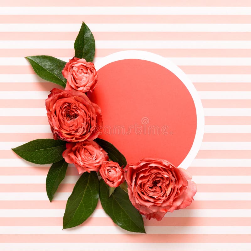 Glücklicher Mutter-Tag, der Tag der Frauen, Valentinsgruß-Tag oder Geburtstag Coral Pantone Color Background lebend Korallenrote lizenzfreie stockfotografie