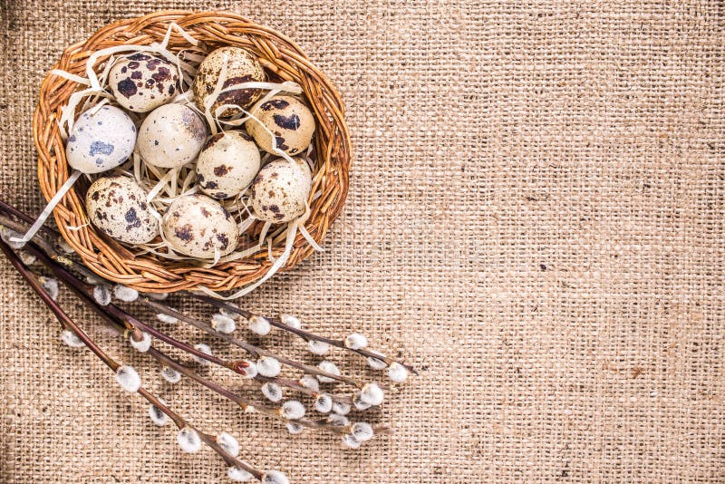 Glücklicher Ostern-Hintergrund mit Eiern in einem Korb und in einer Pussyweide lizenzfreies stockfoto Glücklicher Ostern-Hintergrund mit Eiern in einem Korb und in einer Pussyweide lizenzfreies stockfoto