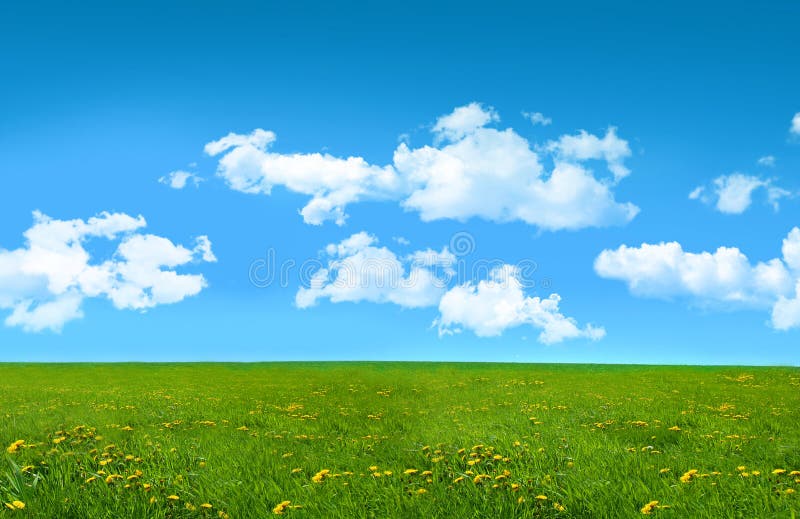 Glückseliger Sommertag auf einem Gebiet des Grases lizenzfreies stockbild Glückseliger Sommertag auf einem Gebiet des Grases lizenzfreies stockbild