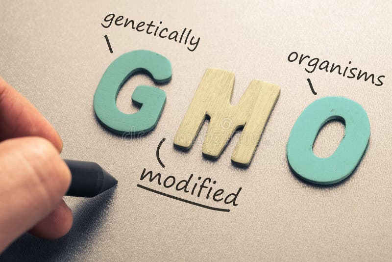  Gmo royalty-vrije stock foto