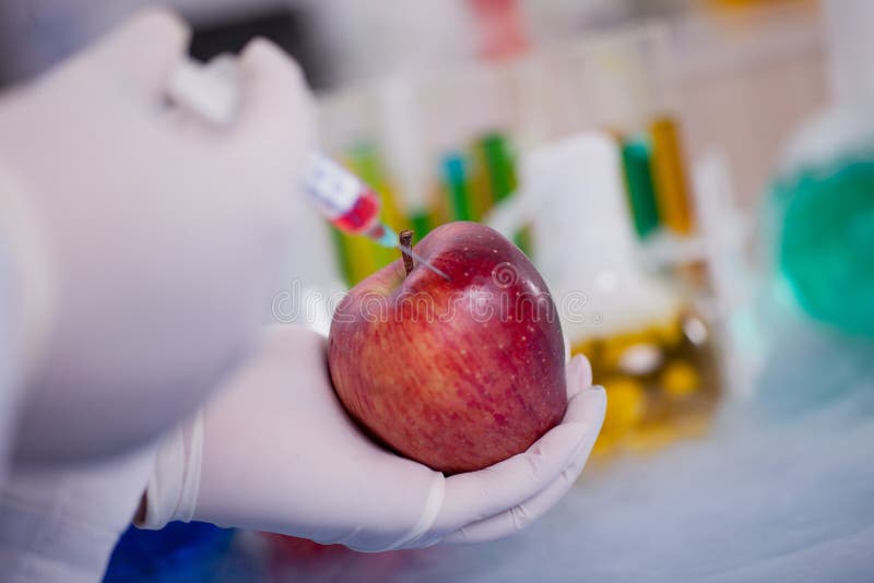 Scientist Injecting Chemicals Into Apple Stock Image Image of