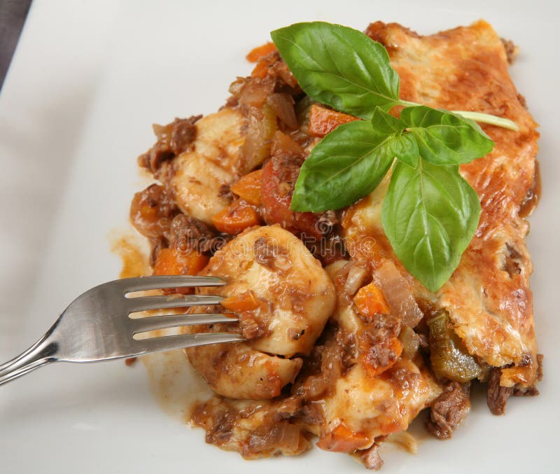 Gnocci y empanada de la carne de vaca imagen de archivo libre de regalías Gnocci y empanada de la carne de vaca imagen de archivo libre de regalías