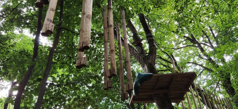 130 Go Ape Photos Free Royalty Free Stock Photos From Dreamstime 130 Go Ape Photos Free Royalty Free Stock Photos From Dreamstime