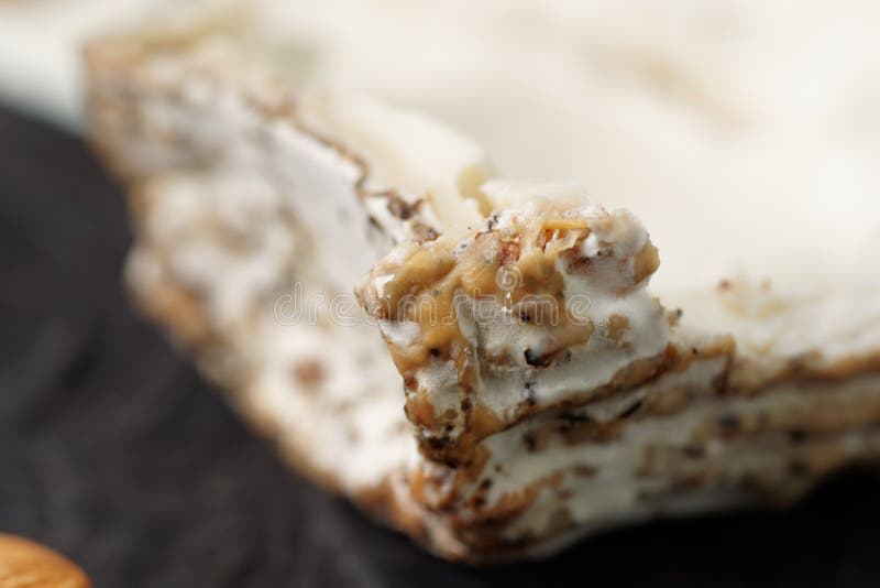 Goat Cheese with Mold, Crust Closeup Stock Image Image of nutrition