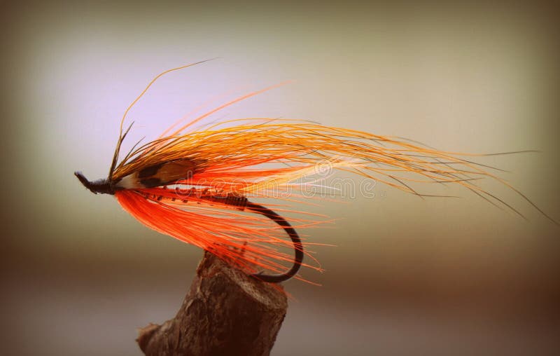 Wooden Box Ful of Dry Flies - Fly Fishing Stock Image - Image of hook,  fishing: 134687625