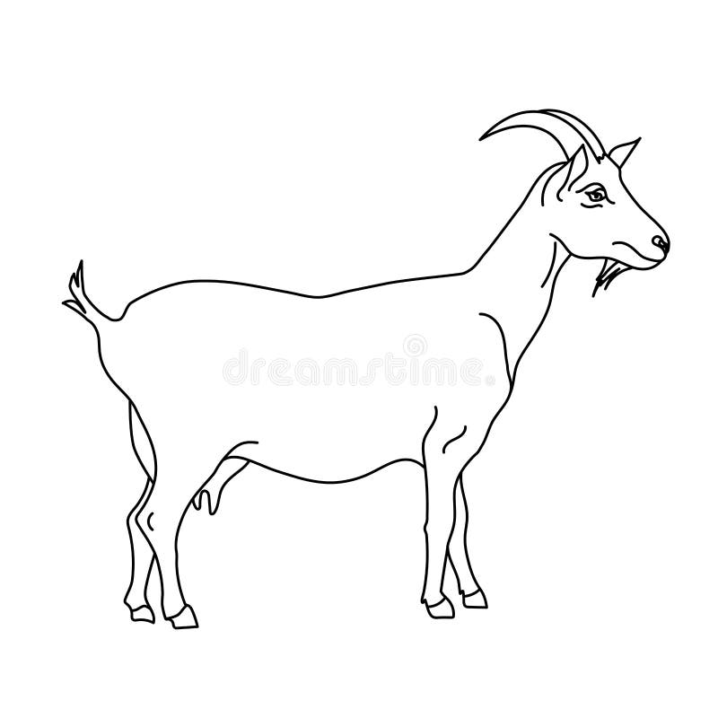 Goat Line Drawing Stock Illustrations 4,343 Goat Line Drawing Stock