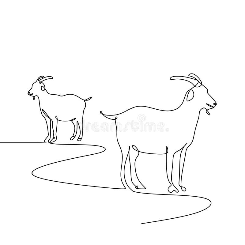 How to draw a mountain goat step by step | Sheep drawing, Big horn sheep,  Mountain goat
