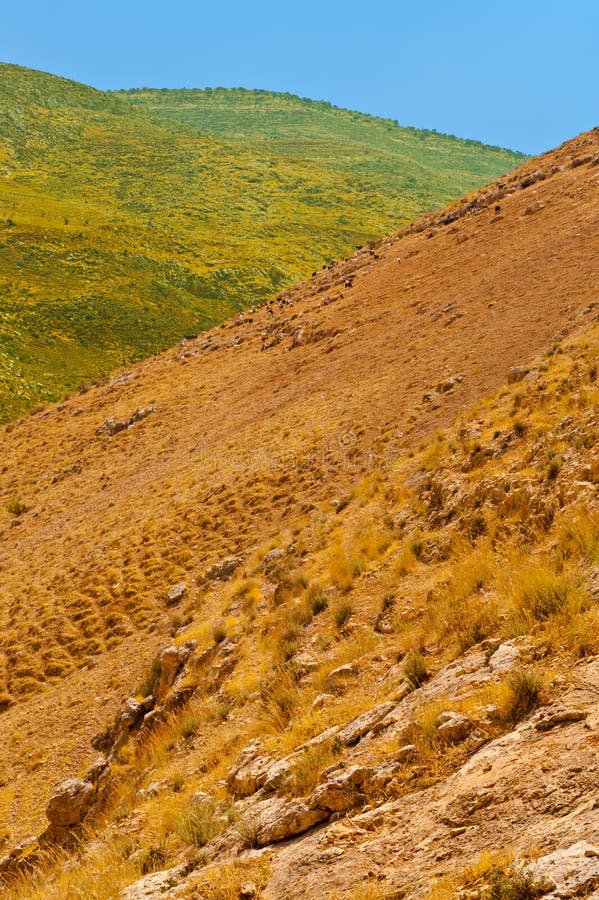 Mountains of Samaria stock photo. Image of canyon, breed 28213584