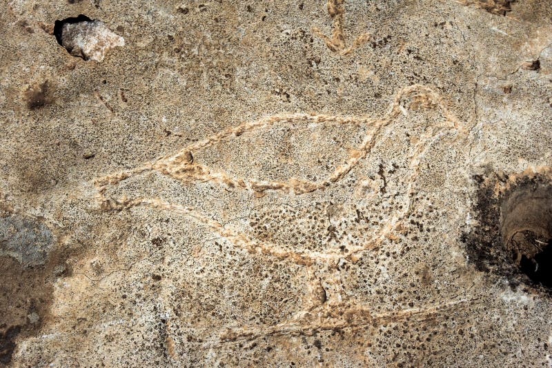 Gobekli Tepe - profilo dell'uccello fotografia stock Gobekli Tepe - profilo dell'uccello fotografia stock