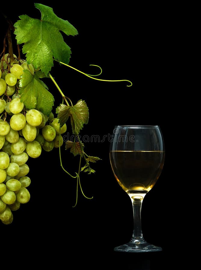 Goblet with wine and grapevine