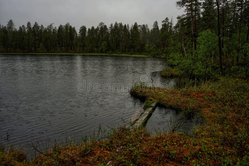 Gocce di pioggia che cadono nell'acqua fotografia stock Gocce di pioggia che cadono nell'acqua fotografia stock