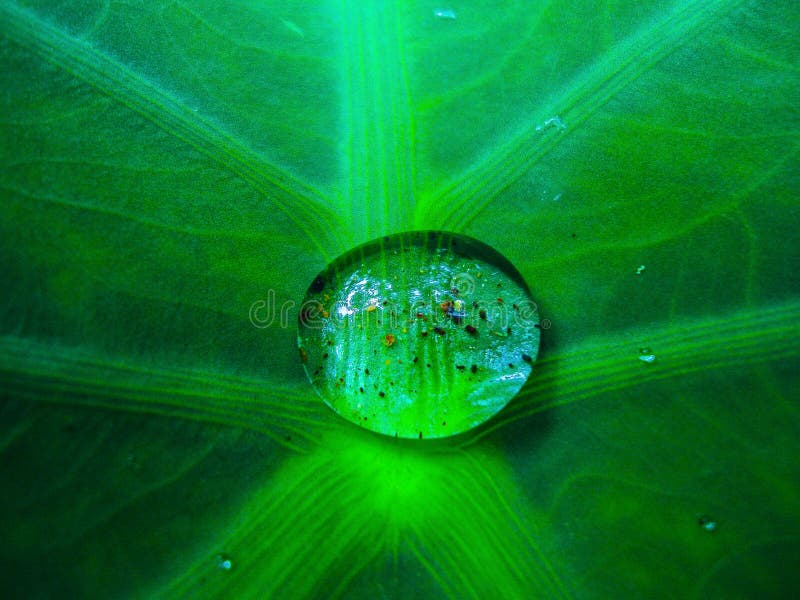 Goccia di acqua che sembra come contenere universo fotografie stock libere da diritti Goccia di acqua che sembra come contenere universo fotografie stock libere da diritti