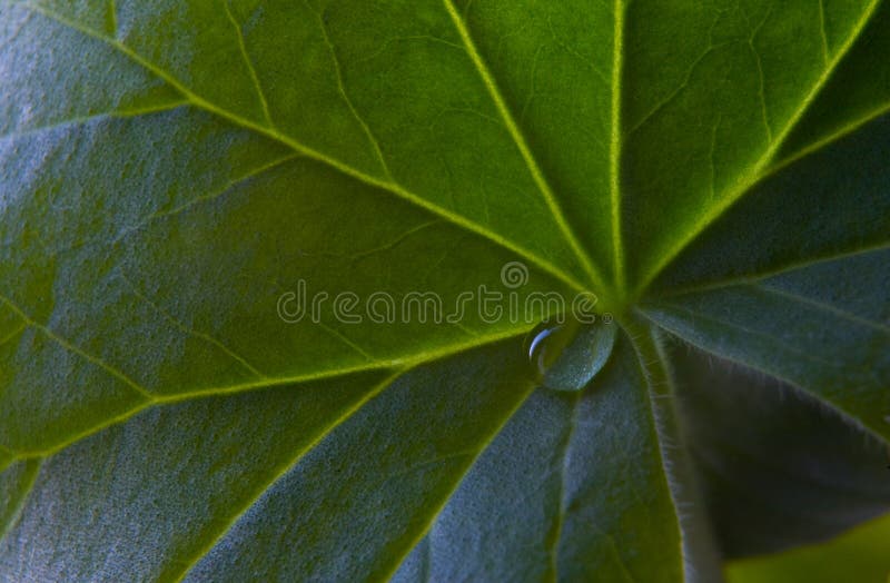 Goccia Azzurra - Gioielli - Ciondoli - Di ESSENZIA | Su MissHobby