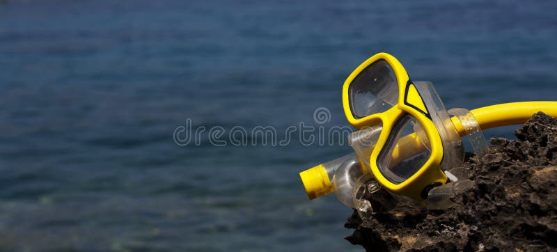 Swimming Mask Goggle Snorkel