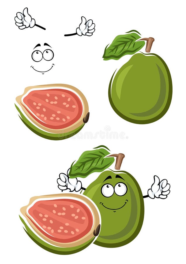 Goiaba madura do verde dos desenhos animados ilustração royalty free Goiaba madura do verde dos desenhos animados ilustração royalty free