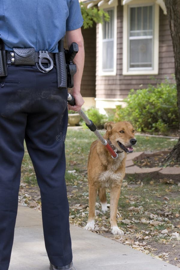 Cane randagio di essere trattenuto da un funzionario di polizia.