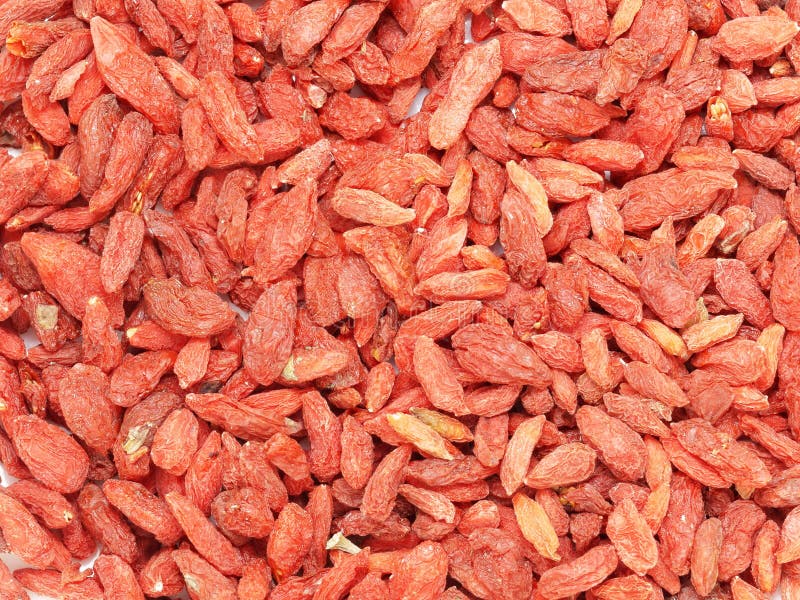 Goji berry stock image. Image of traditional, oriental 44097403
