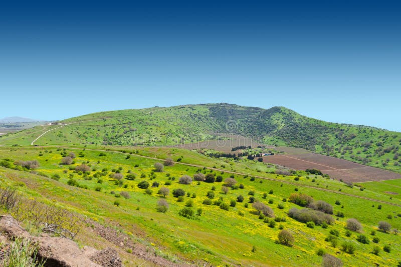 Meadows in Golan Heights, Early Spring