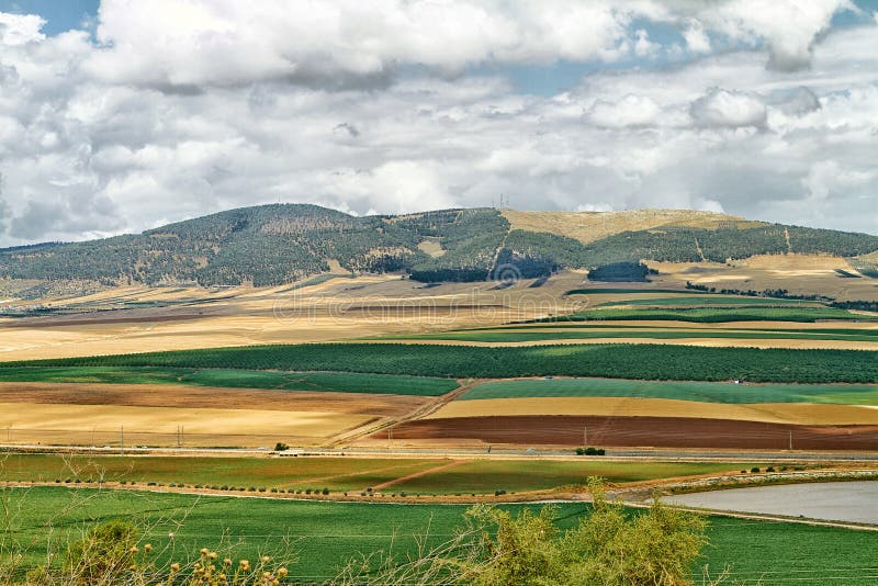 Golan Heights colorido imagens de stock royalty free Golan Heights colorido imagens de stock royalty free