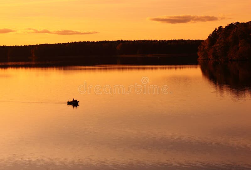 Gold Autumn royalty free stock photo
