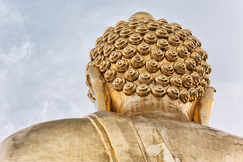 Buddha Hair stock image. Image of closeup, points, religion - 10677667